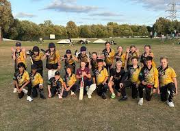 Image result for Newport (Salop) Cricket Club
