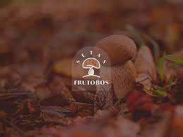 Attēlu rezultāti vaicājumam “Cratarellus cornucopioides”