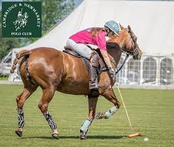 Image result for Cambridge and Newmarket Polo Club