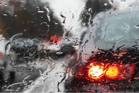 Image result for Speedwell Ttc