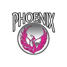 Image result for Phoenix Netball Club