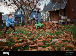 Image result for Cartwheels Gc