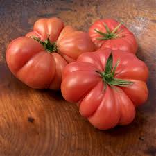Afbeeldingsresultaat voor 1884 purple tomato