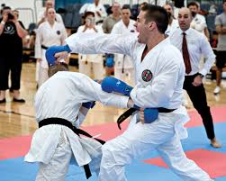 Image result for Thatcham Wado Karate Club