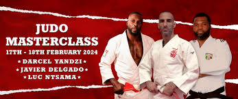 Image result for Judo Excellence