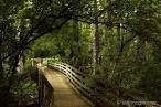 Corkscrew Swamp Sanctuary