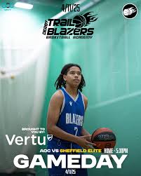 Image result for Sheffield Blazers