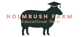 Image result for Holmbush Paintball, West Sussex