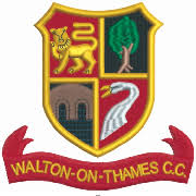 Image result for Oxshott Village Cricket Club