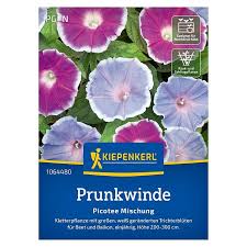 Image result for Prunkwinde