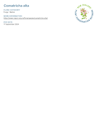 Attēlu rezultāti vaicājumam “Comatricha alta”