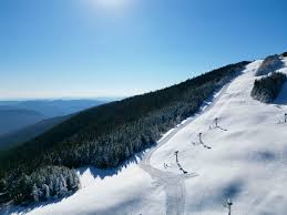 Image result for Eclipse Ski