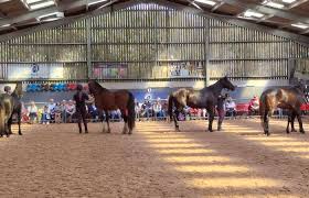 Image result for Blackpool & Fylde Horse Club