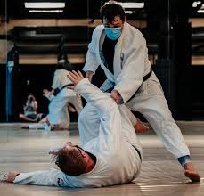 Image result for Komaru Ryu Small Circle Jujitsu/Karate