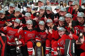 Image result for Frome Ladies Hockey Club