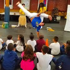 Image result for Brazilian-martial arts