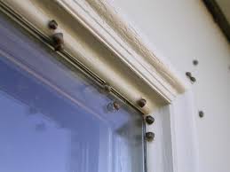 Attēlu rezultāti vaicājumam “Cribraria costata stalked”