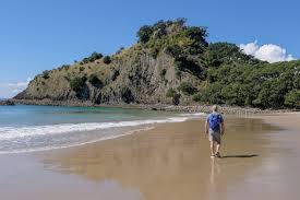 Image result for new chums beach