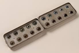 Image result for Chard Holocaust