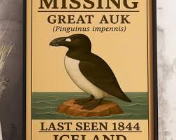 Image result for Pinguinus impennis