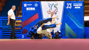 Image result for Judo Excellence