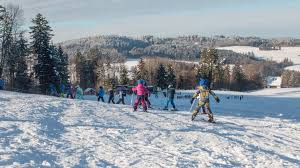 Image result for schnee