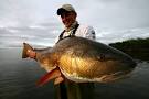 Banana River Lagoon Fishing on Fire!- Banana River- Mosquito Lag