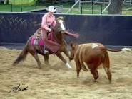 Cutting Horse