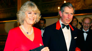 Image result for Camilla Power