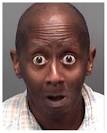 what-now-mugshot.jpg
