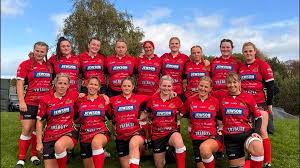 Image result for Totnes Rugby Club
