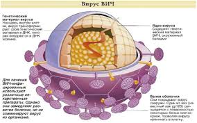 Image result for фотография вируса вич