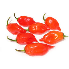 Afbeeldingsresultaat voor chili maya hot pepper hot pepper