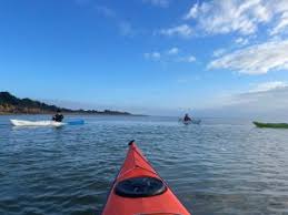 Image result for Basingstoke Canal Canoe Club