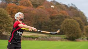 Image result for World of Shinty