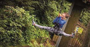 Image result for Go Ape! Moors Valley