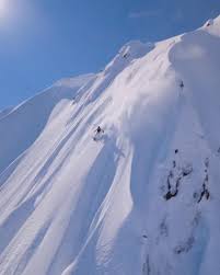 Image result for skiptondivers