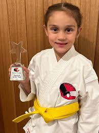 Image result for HEIWA SHOTOKAN KARATE CLUB