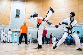 Image result for Bytomic Taekwondo Chalfonts