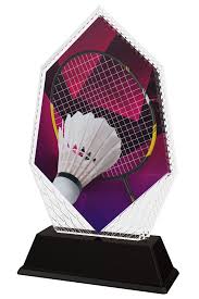 Image result for Onyx Badminton Club