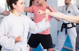 Image result for Revolution Dojo
