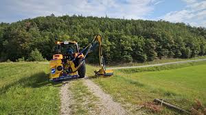 Image result for marolin tehron