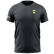 Image result for An Riocht Gaa Club