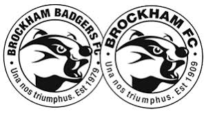 Image result for Brockham Football Club