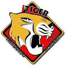 Image result for Kidderminster Tae Kwon Do Tigers