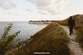 Image result for stevns klint