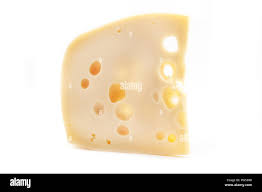 Image result for maasdammer