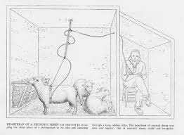 Image result for "scott liddell"