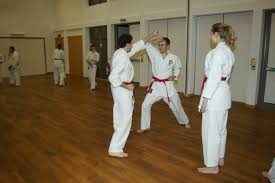 Image result for Thames Valley Shotokan Karate
