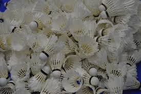 Image result for Halsall Badminton Club